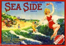 Oxnard Sea Side Bathing Beauty Beach Lemon Citrus Fruit Crate Label Art Print picture