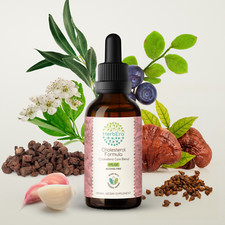 HerbEra Cholesterol Formula Alcohol-FREE Tincture . Cholesterol Care Blend picture