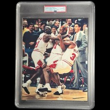 1996-Chicago Bulls-Jordan, Rodman,Pippen-LA Brawl-PSA Type 1 Photo-Warren Wimmer picture