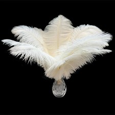 Piokio 20Pcs White Ostrich Feathers 10-12 inch (25-30cm) Bulk Feathers for Ho... picture