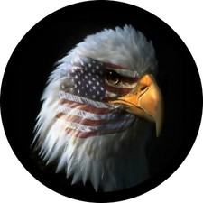 Love of American Eagle  tire cover Access Any Size picture