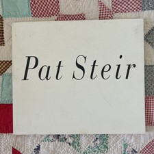 PAT STEIR: WATERFALLS - 1990 Exhibition Catalog w/ Essay Holland Cotter picture
