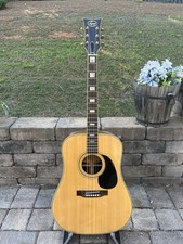 Vintage Signet By Selmer Acoustic Guitar GG4002 picture