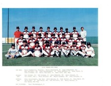 1978 TOLEDO MUD HENS 8X10 TEAM PHOTO  BASEBALL OHIO USA   picture