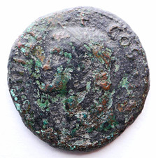 Marcus Agrippa AE As Caligula 37-41 AD Neptune RIC 58 Roman Coin picture