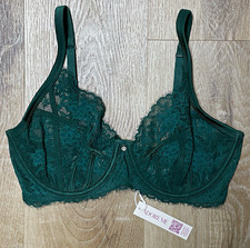 Adore Me 34DD Balconette Lace Bra Green Floral Underwire Unlined picture