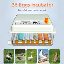 36Egg Incubators for Hatching Eggs with Automatic Egg Turning and Egg Candler picture