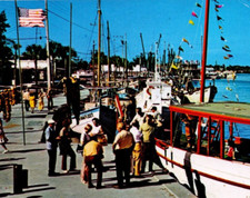 Tarpon Springs Florida Postcard Sponge Fleet Anclote River Curteich Ireland picture