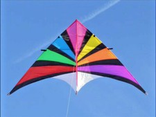 Delta Kite Single line Huge 104 x 55