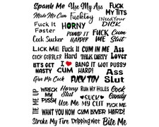 38 Naughty Temporary Tattoos Adult Body Art Kinky Fun Sex Hot Slutty Stickers picture