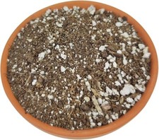 Succulent & Cactus Plant Potting Soil Mix Peat Moss & Perlite, 1 quart - 4 gal picture