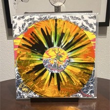 KG&LW Teenage Gizzard Romanus Records Ltd. Edition Multicolor Colored Vinyl /100 picture