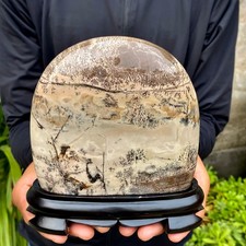 3.37LB Beautiful Natural Chinese Dendritic Limestone Picture Stone Guohua-Rare picture