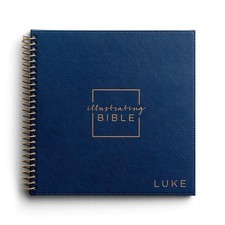 DaySpring NIV Illustrating Bible: Book of Luke picture