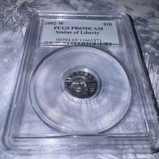 2002 W $10 PROOF Platinum Eagle 1/10 oz PR69 PCGS On The Rise Back Up picture
