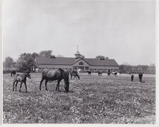 J. C. SKEETS MEADORS * HORSE FARM in KENTUCKY * c. 1960s RURAL AMERICAN Photo picture