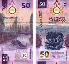 2025 Mexico 50 Pesos  UNC Polymer Banknote 100th Anniv Swimming AXOLOTL picture