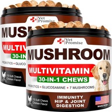 Dog Mushroom Chews 340 Count 2-Pack Turkey Tail Lion's Mane Reishi Immune picture