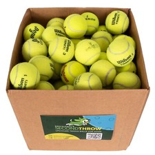 100 Used Tennis Balls for Dogs - SHIPS TODAY picture