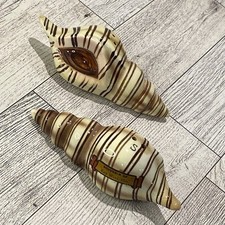 Vintage PY Napco Japan Seashell Salt and Pepper Shakers Conch Shell Ceramic 4” picture