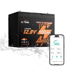 LiTime 12V 100Ah Group 24 Dual Purpose Marine Lithium Battery 900 CCA Bluetooth picture