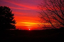 Digital Image Picture Photo Wallpaper Background Desktop AI Art Sample Product picture