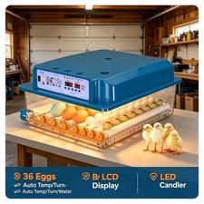 36 Egg Incubators for Hatching 120 Eggs, Incubator, Automatic Egg Turning picture