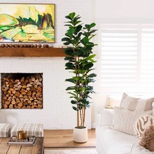 8 Ft. Artificial Fiddle Leaf Tree in Decorative White Planter. Retail $299 picture