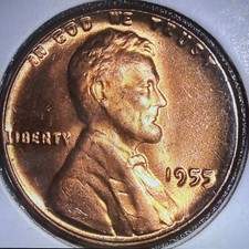1955 P Double Die Obverse Lincoln Wheat Penny Cent GEM BU - X11 picture
