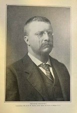 1901 Vintage Magazine Illustration President Theodore Roosevelt picture