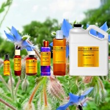 Borage Oil - 100% Pure and Natural - Cold Pressed - Sizes 1oz - 1 Gallon picture