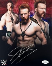 Sheamus Signed Autographed 8x10 Photo JSA Authenticated #8 picture