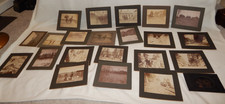 22 1880's Albumen Photographs Rocky Railroad Vacation Horses Wagon Antique picture