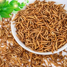 Amzey Non-GMO Dried Mealworms for Chickens, High in Protein Mealworm Treats LOTS picture