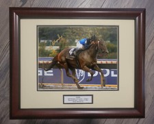 Curlin 2007 BC Classic 8x10 matted / Framed Signed Robby Albarado picture