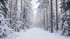 Digital Image Picture Photo Wallpaper Background Desktop AI Art Sample Product picture