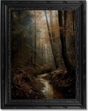Dark Moody Forest Stream Framed Wall Art, Moody Aesthetic Landscape Canvas Print picture