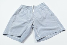 BirdDogs boom Lined Shorts Mens Medium Blue Stripe Lightweight Stretch Classic picture