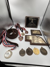 Vintage 1986-1991 Karate Martial Arts Award Lot 8 Medals 3 Plaques Brown Belt  picture