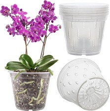Pot, 6 Pack Pots with Holes, 5.5 Inch (6 pots), Clear picture
