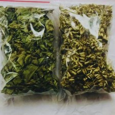 Dried Mexican Dream Herb Calea Zacatechichi 100% Organic Lucid Ceylon Herbal Tea picture