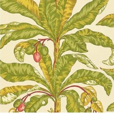 Blair House 5004063 Palm Tropical unpasted Schumacher Wallcovering New picture