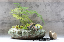 Premium Shallow Succulent Planter Pot Ceramic with Decorative Patina Glaze picture
