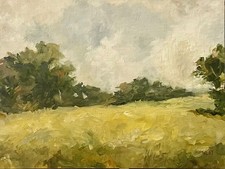 Original Oil Painting 9x12 Impressionist Landscape Summer Pasture Art Signed picture