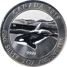 2019 Canada 2 Ounce Silver $10 Orca Whale .9999 Fine - STOCK picture