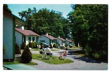 VINTAGE UNUSED POSTCARD - YOUNG'S TOURIST COURT - WESTPORT MASSACHUSETTS picture
