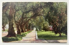 Marengo Ave., Pasadena, Cal. Antique 1914 Postcard picture
