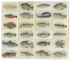 c1910's T58 Piedmont Tobacco Cards - Fish Series - 24 Different - Buy 1 or All picture
