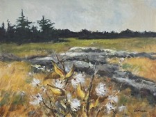 Original New Impressionist Painting Landscape  Milkweed Pods Acrylic Canvasboard picture