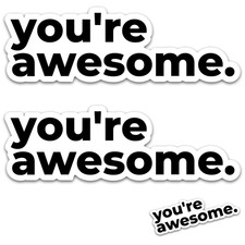 Stickios You're Awesome 4 PCS Inspirational Motivational - Made in USA picture